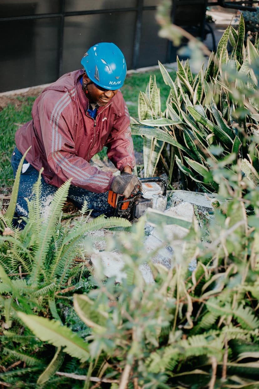 lawn-care